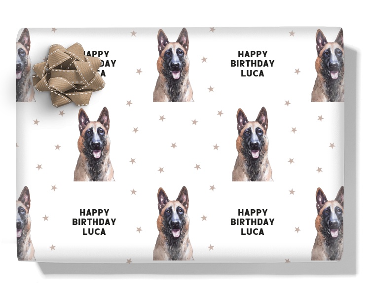 Belgian Shepherd