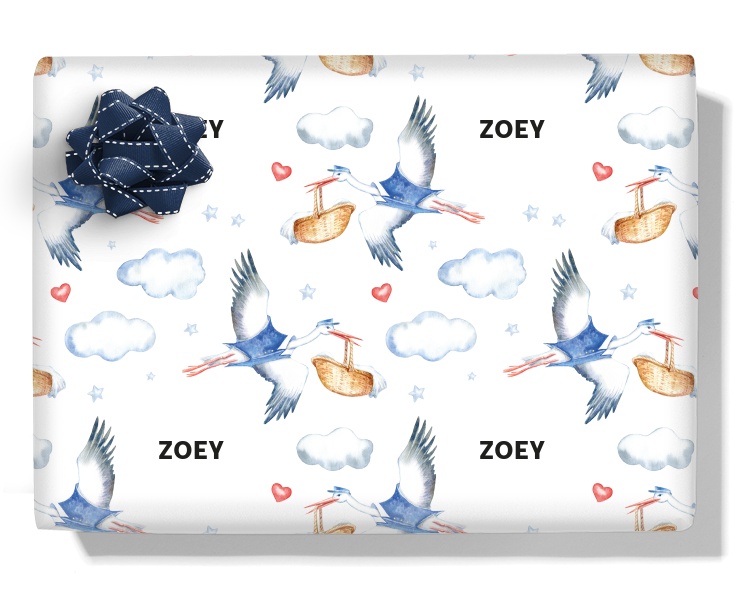 Stork Baby Postman