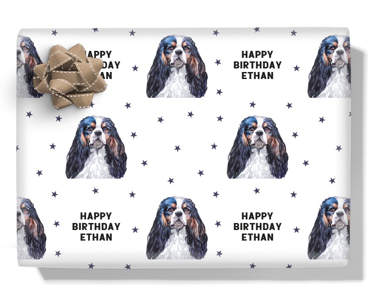 Cavalier King Charles Spaniel