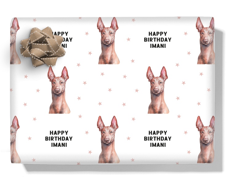 Pharaoh Hound