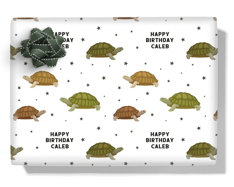 Tortoises