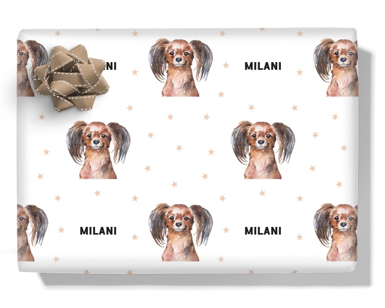 Long Haired Toy Terrier