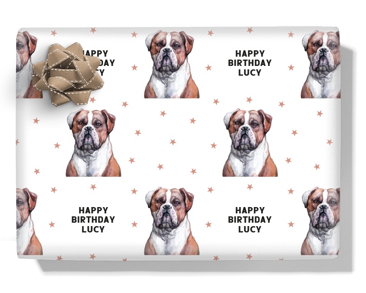 American Bulldog