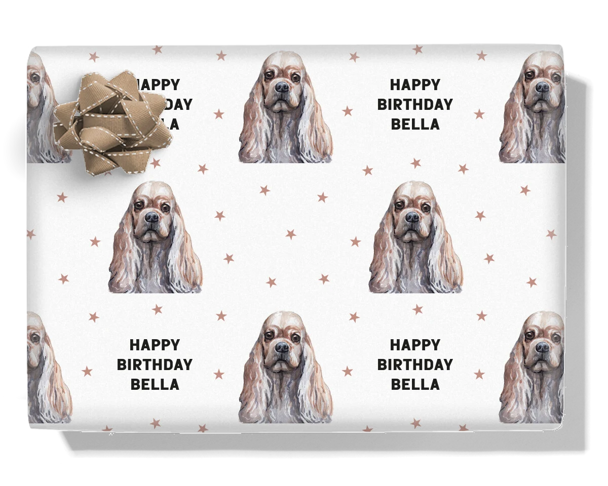 American Cocker Spaniel