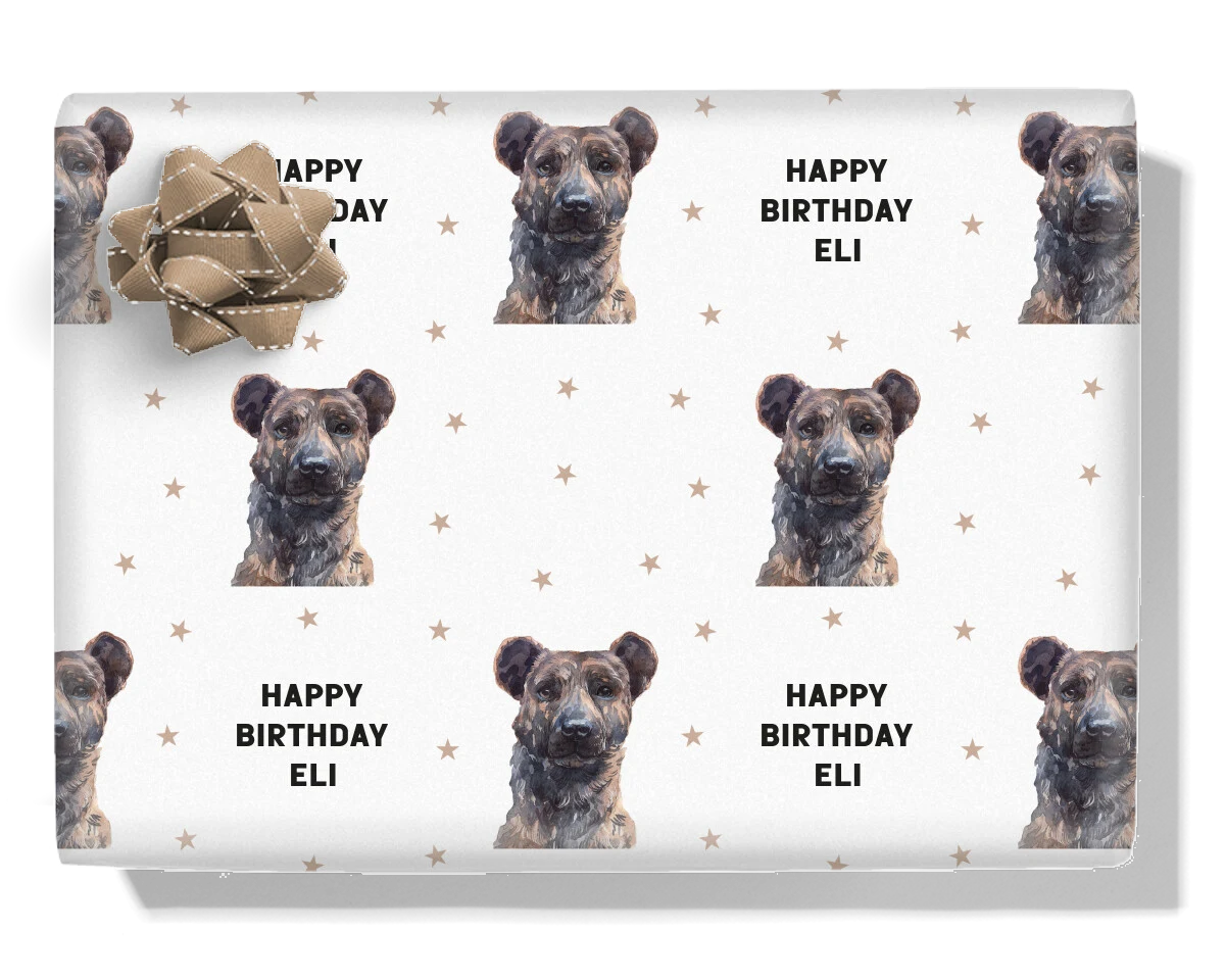Azores Cattle Dog
