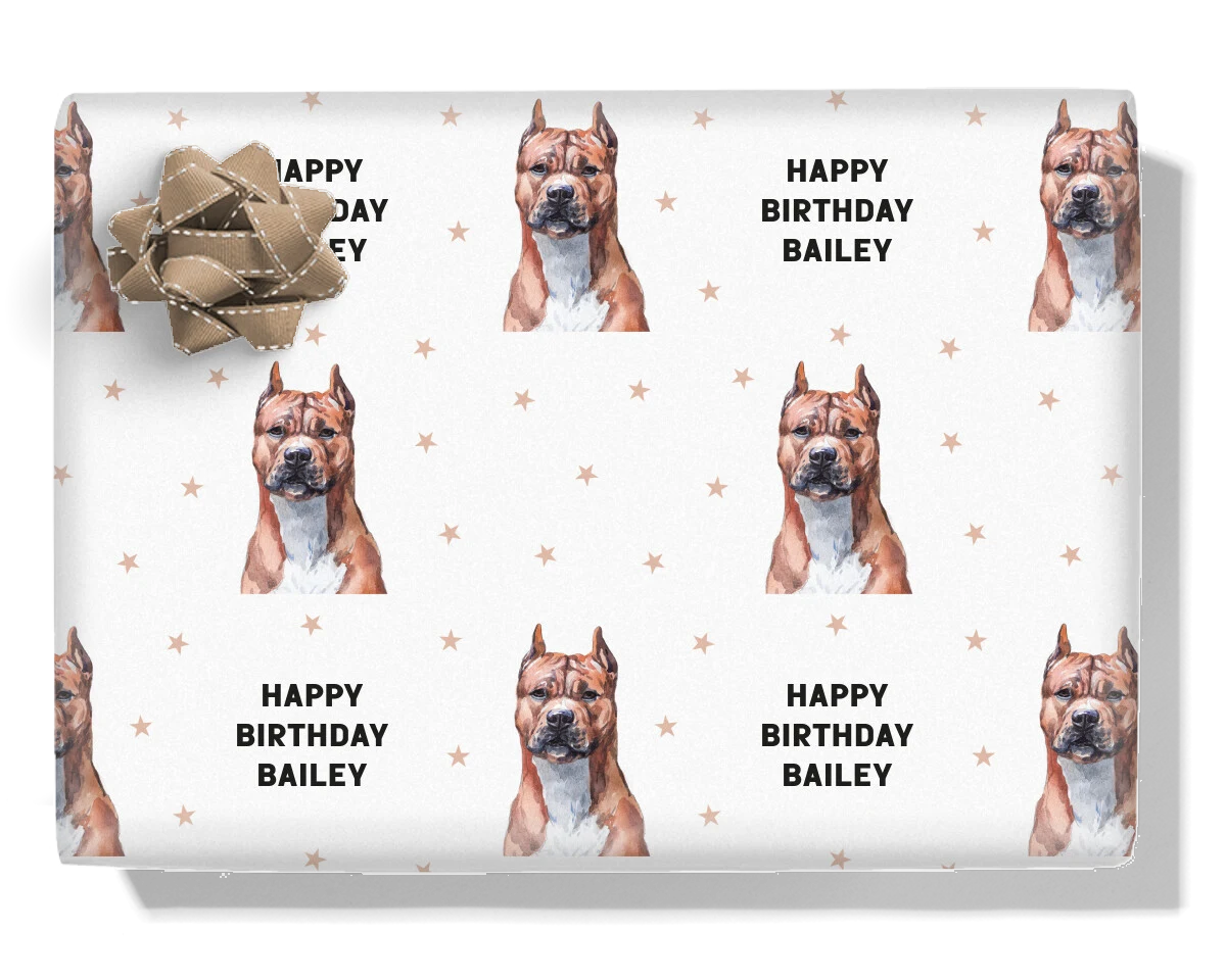 American Staffordshire Terrier
