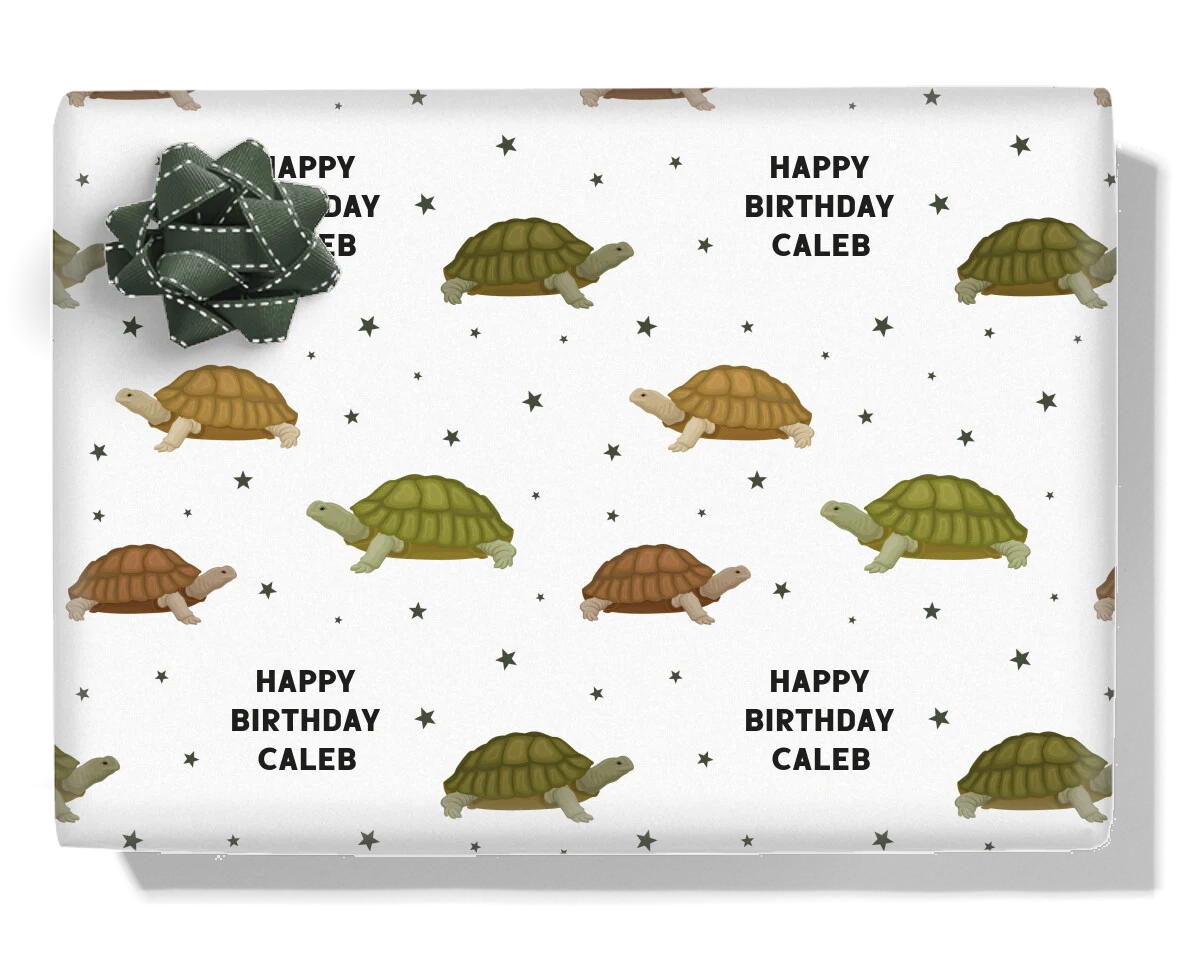 Tortoises