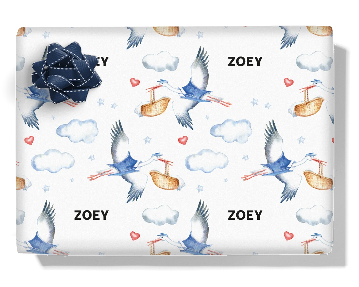 Stork Baby Postman
