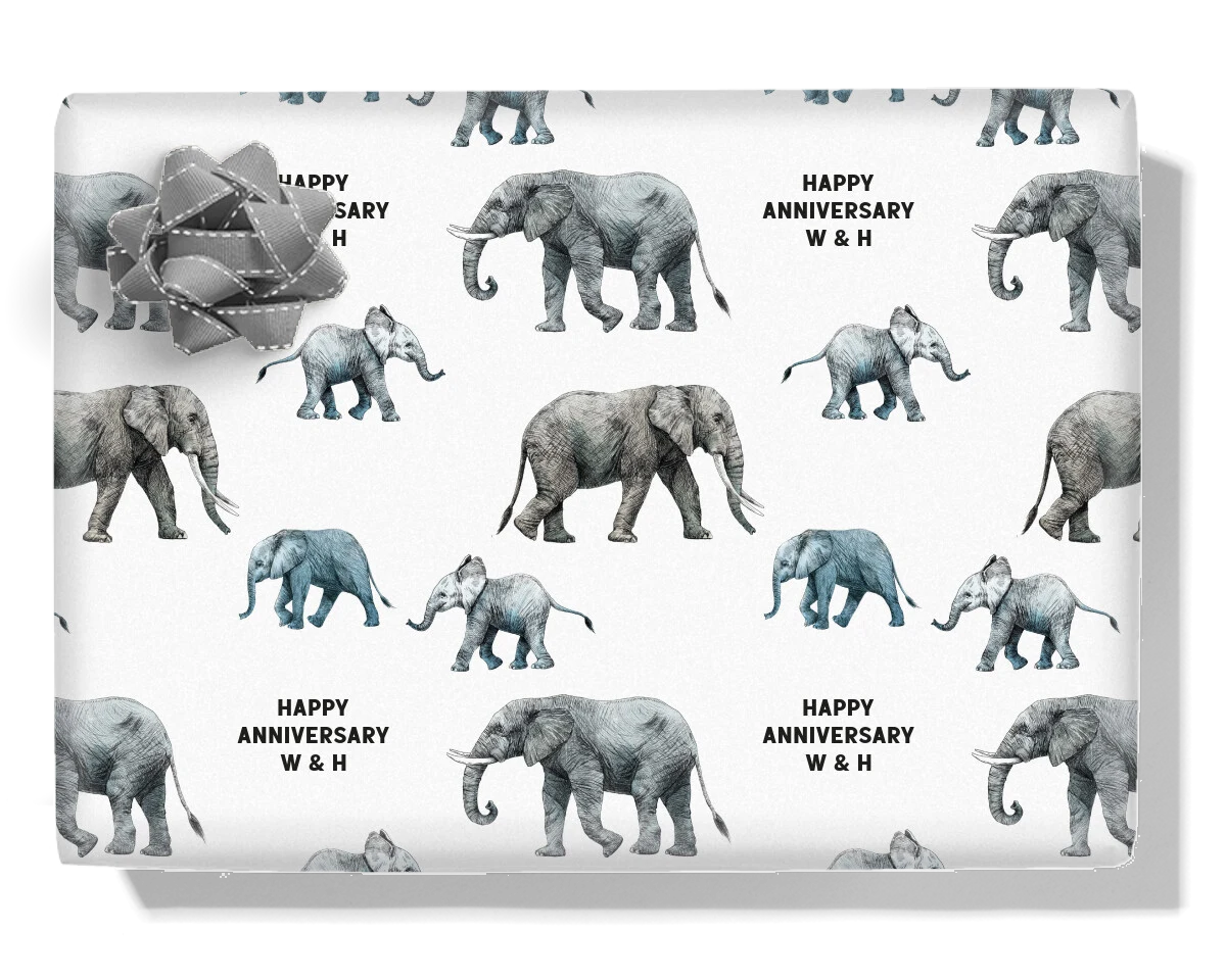 Elephant Family