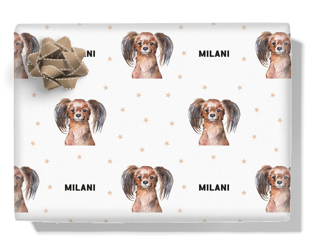 Long Haired Toy Terrier