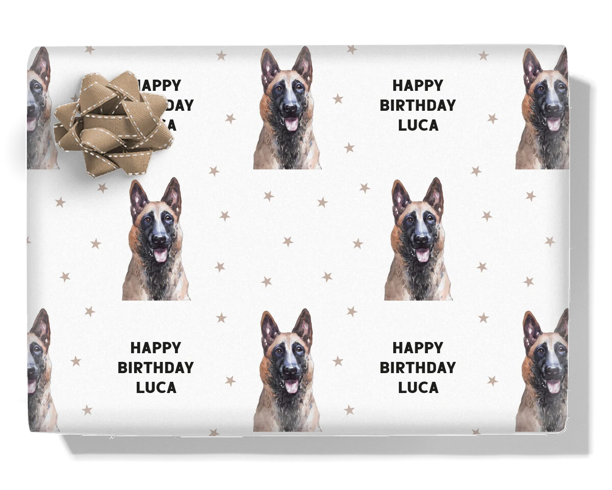 Belgian Shepherd