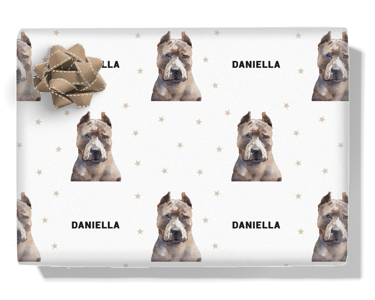 Pit Bull