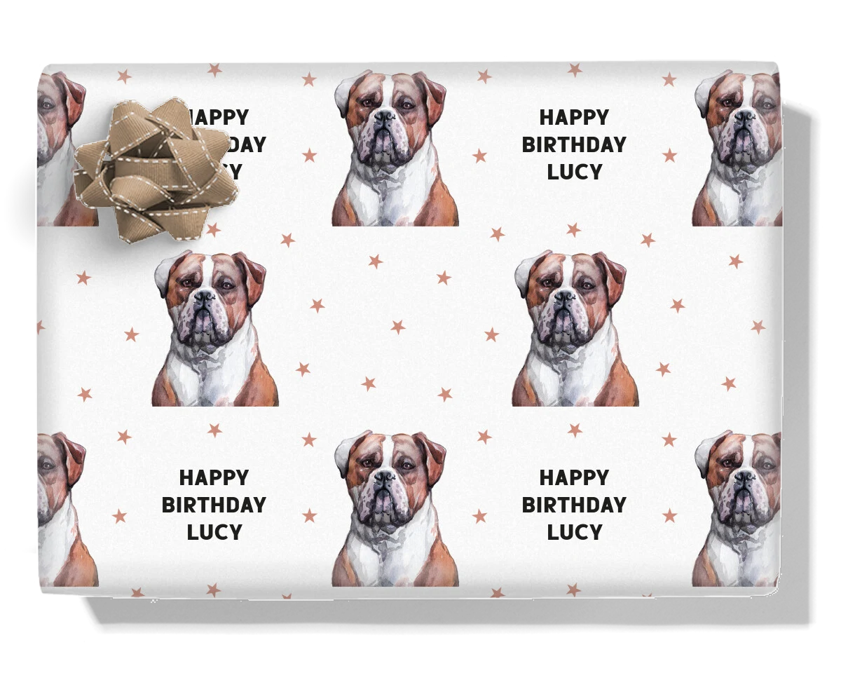 American Bulldog