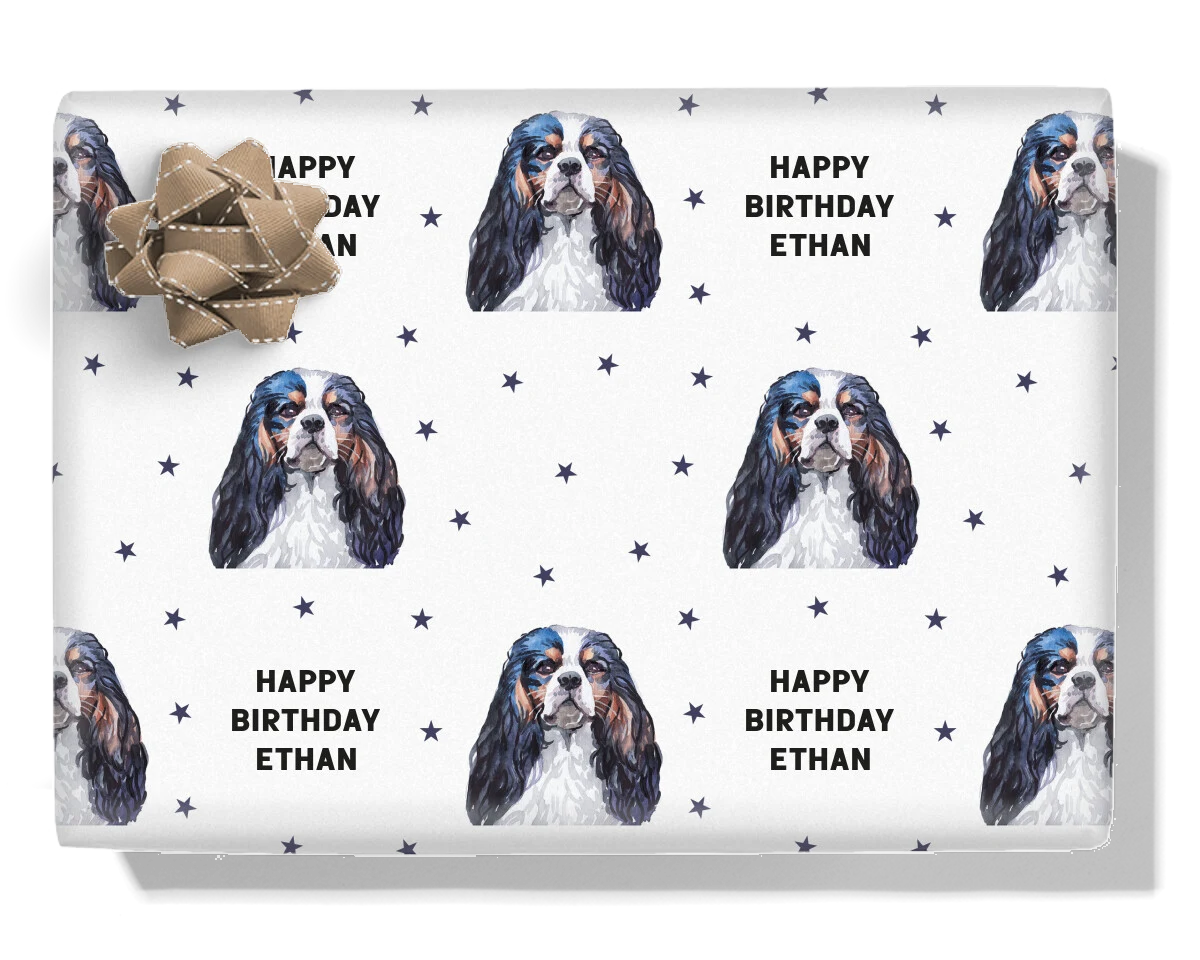 Cavalier King Charles Spaniel