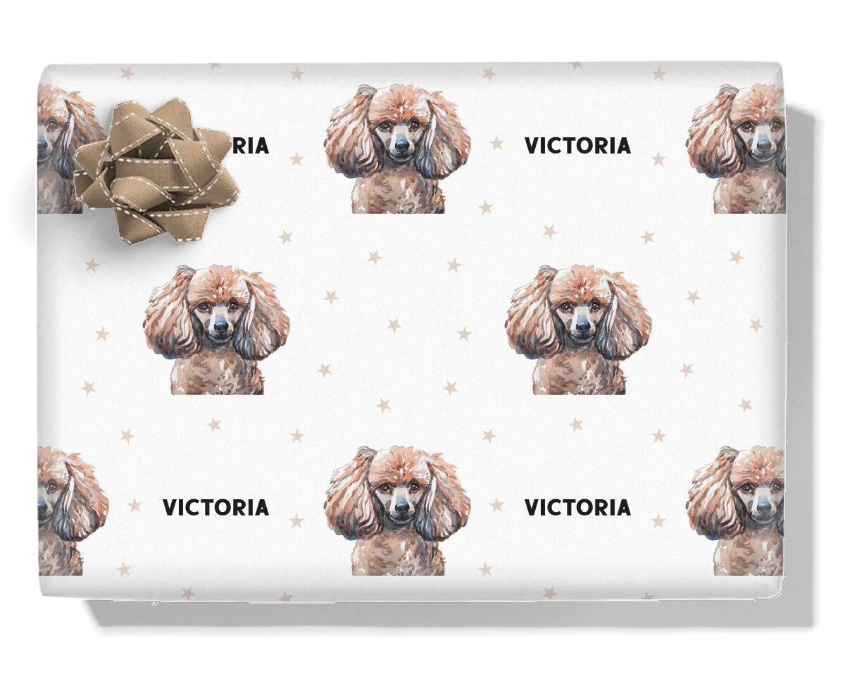 Toy Poodle