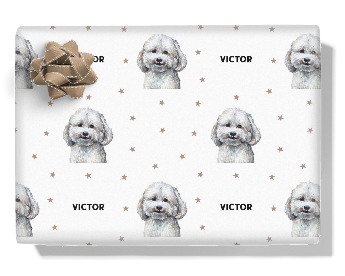 Maltese