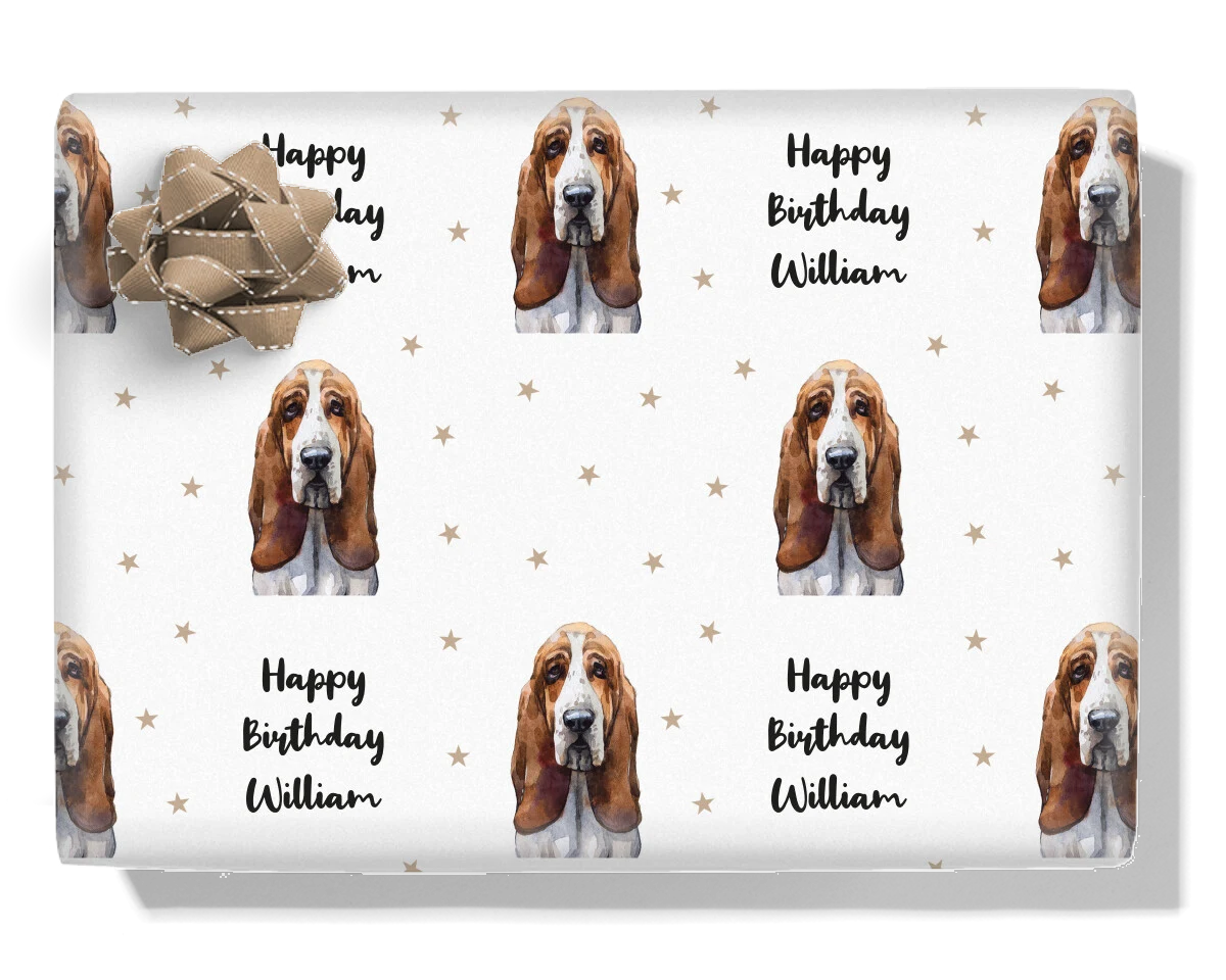 Basset Hound