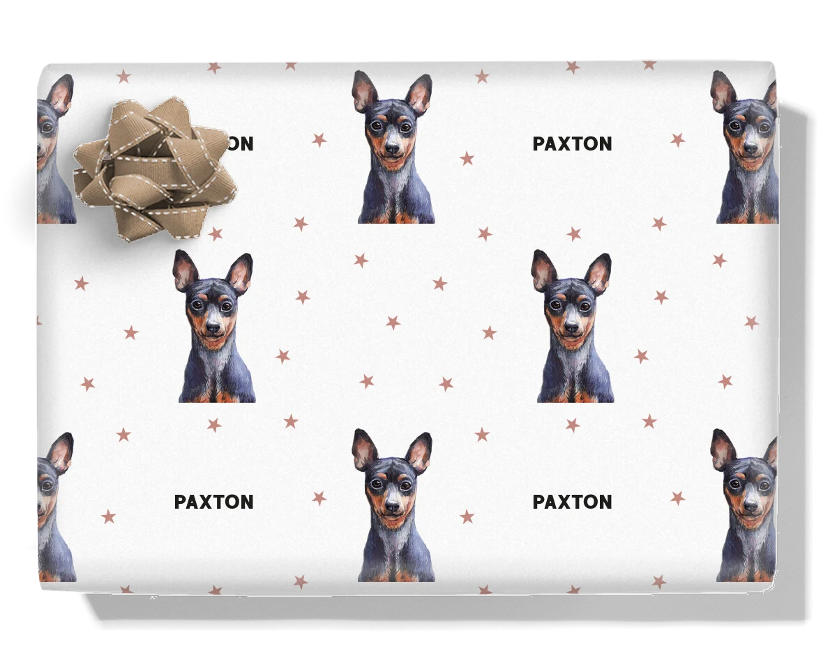 Miniature Pinscher
