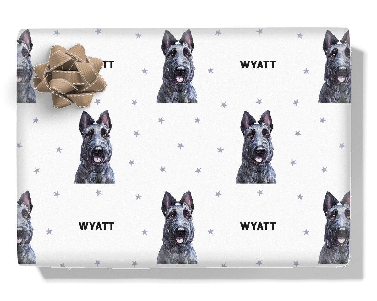 Scottish Terrier