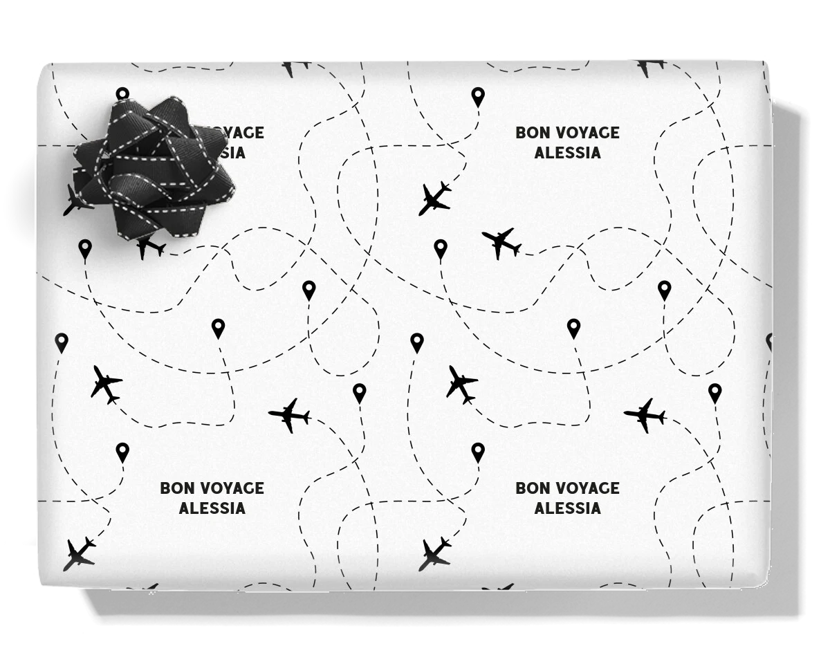 Plane Travel