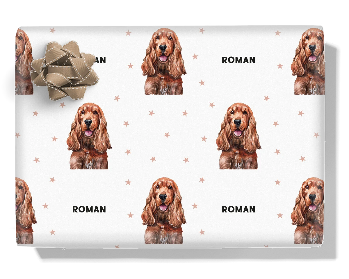 Cocker Spaniel