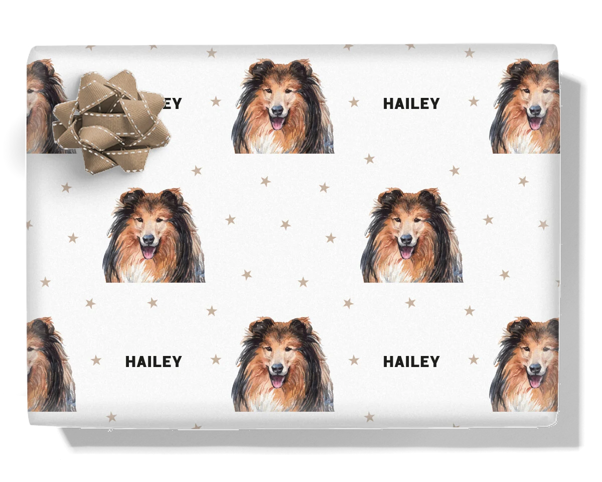 Collie