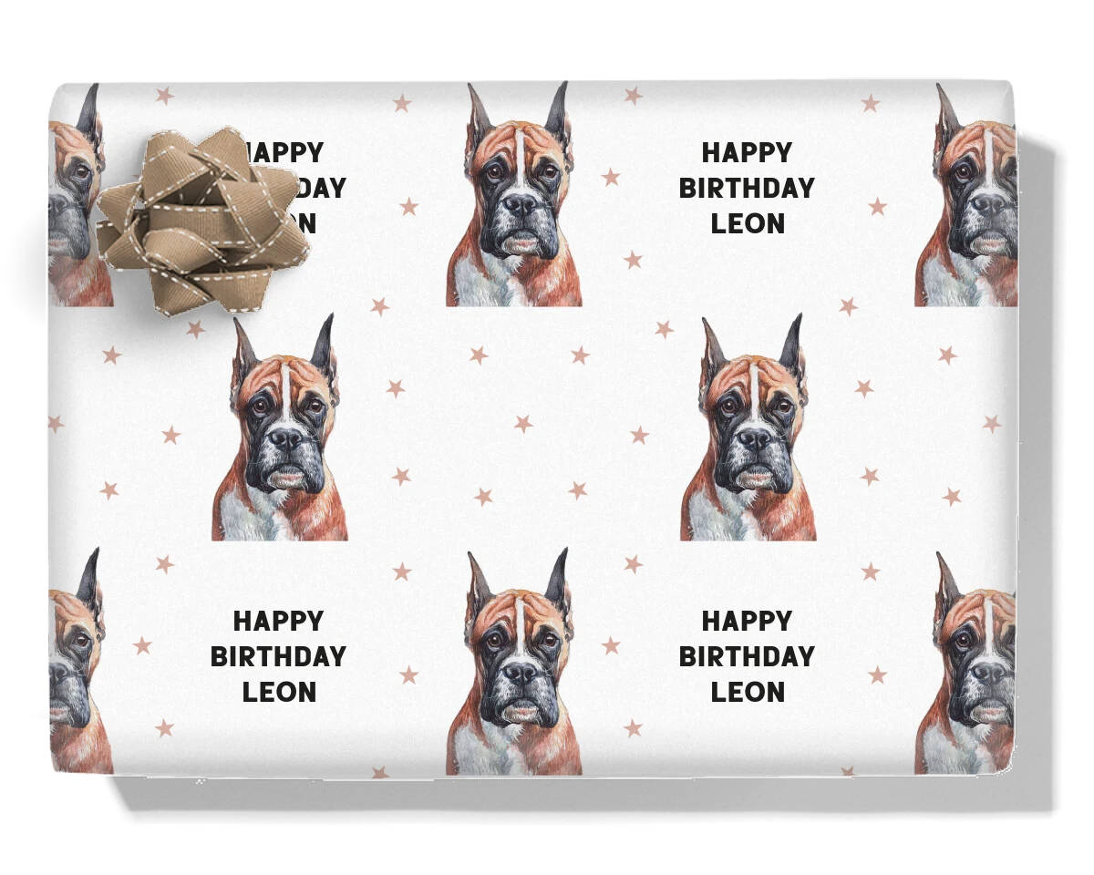 Boxer